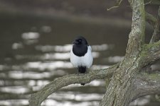 DSC_6876.jpg