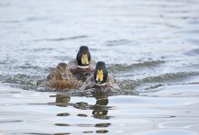 DSC_6852.jpg