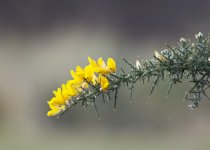 DSC_6948.jpg