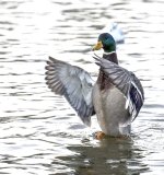 DSC_6904.jpg