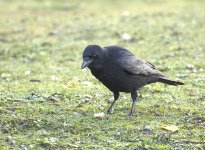 DSC_6944.jpg
