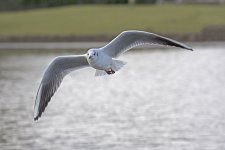 DSC_6891.jpg
