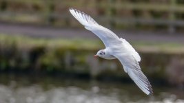 DSC_0211-Edit.jpg