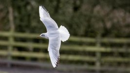 DSC_0209-Edit.jpg