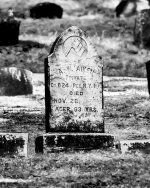 P2280020-3.jpg