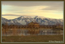 Bridge over Jensen Pond 2-28-2016.jpg