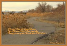 We are Free to Choose 2-28-2016.jpg