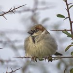 DSC_7058.jpg