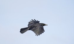 DSC_7128.jpg