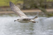 DSC_7196.jpg