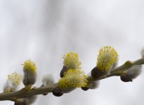 DSC_7026.jpg