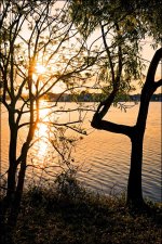 2-27-16 DFB Sunset   1.jpg