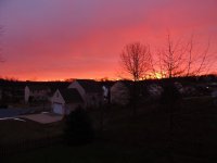 DSCN9890.jpg