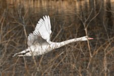 DSC_9975-Edit-2.jpg