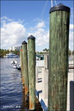 2-29-16 FTL Marina   4.jpg