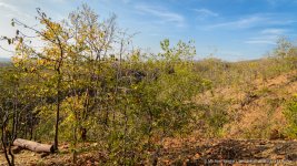 landscape cm 3-3.jpg