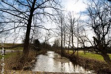 20160301-3024.JPG