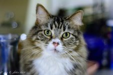 20160219-_D715682.jpg