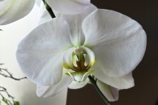 IMG_0389 - Version 2.jpg
