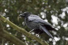 DSC_7261.jpg