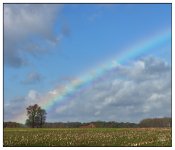 rainbow.jpg