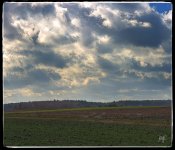 landscape1.jpg