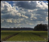 landscape4.jpg