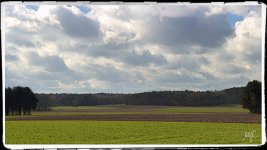 landscape2.jpg