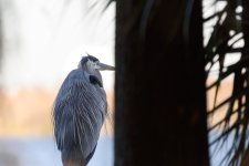 Circle B Bar Reserve-.jpg