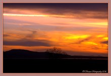 Sunset 3-2-2016.jpg