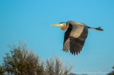 DSC_2183.jpg