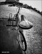 DSC_0003bw.jpg