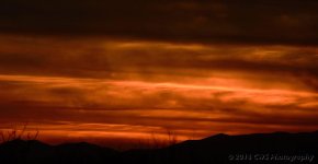 3-3-16-cr__D7K2023.jpg