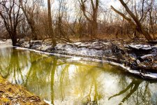 creek-6.jpg