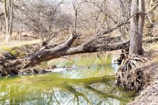 creek-13.jpg