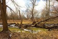 creek-15.jpg