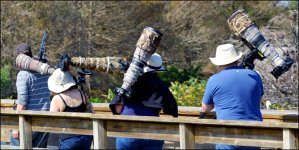 3-2-16 WAKO   46.jpg