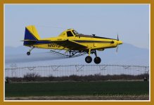 3-4-16-cr__D7K2082.jpg