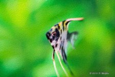 D71_8878-Edit.jpg