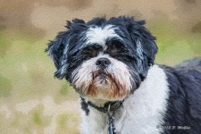 D71_8901-Edit.jpg