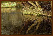 Fish Pond North Ogden 3-5-2016.jpg