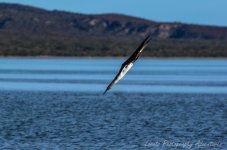 DSC_2611.jpg