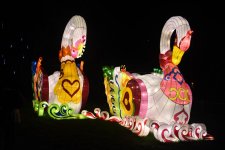 Lantern Festival-9.jpg