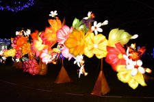 Lantern Festival-107.jpg