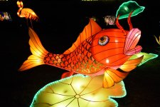 Lantern Festival-48.jpg