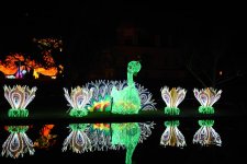 Lantern Festival-62.jpg