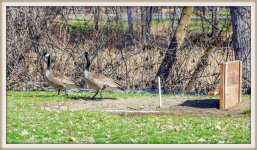 _DSC7267.jpg