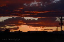 3-6-16-cr__D7K2131.jpg