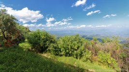 landscape cm doi-4.jpg