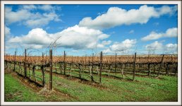 DSC_0198.jpg